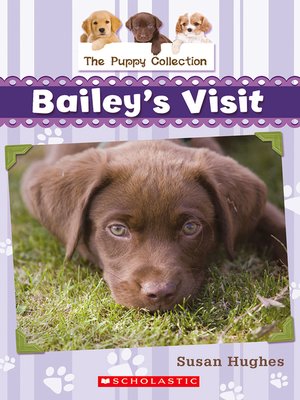 cover image of Bailey's Visit
